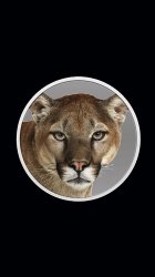 Mountain Lion.jpg