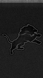 Lions dark B.jpg