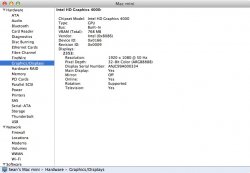 Screen Shot copy.jpg