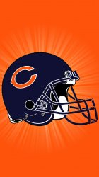 Bears 03.jpg