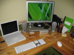 IMG_5678.JPG