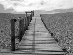 Boardwalk_web.jpg