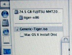 tiger_img.jpg