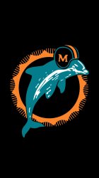 Dolphins 01.jpg