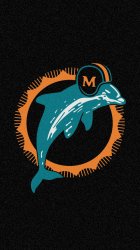 Dolphins 02.jpg