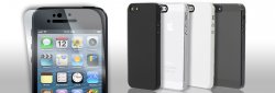 iP5AccessHeader.jpg
