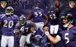 baltimore-ravens5.jpg