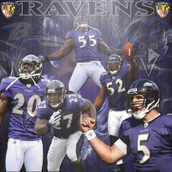 Ravens 002.jpg