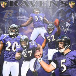 Ravens 003.jpg