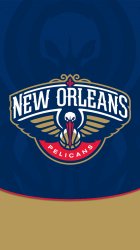 New Orleans Pelicans 01.jpg