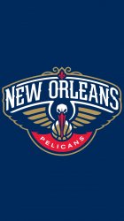 New Orleans Pelicans 02.jpg