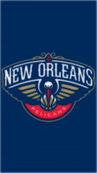 New Orleans Pelicans 03.jpg