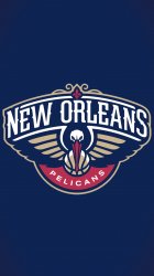 New Orleans Pelicans 04.jpg