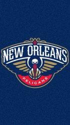 New Orleans Pelicans 05.jpg