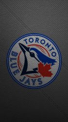 Blue Jays 05.jpg