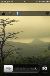 photo.PNG
