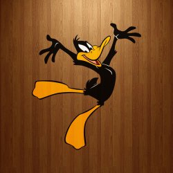 Daffy 02.jpg