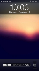 photo.PNG