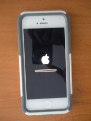 DSCN6478.JPG