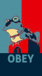 Obey 01.jpg