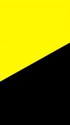 Yellow Black 01.jpg