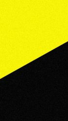 Yellow Black 02.jpg