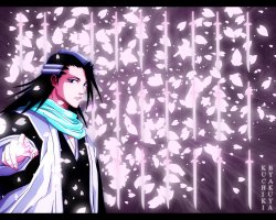 Bleach_wallpapers_302.jpg