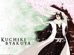 Byakuya-kuchiki-byakuya-13423883-1600-1200.jpg