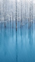 Blue Pond-iPhone_5.jpg