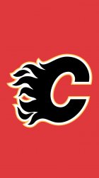 Calgary Flames 01.jpg