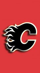 Calgary Flames 02.jpg