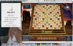 Scrabble in Lion.jpg