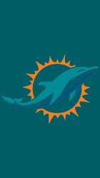 Dolphins 03.jpg