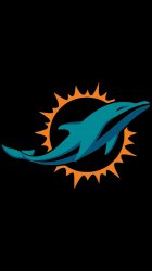 Dolphins 05.jpg