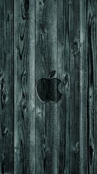 Wood Apple 01.jpg