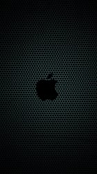 Apple Holes 03.jpg