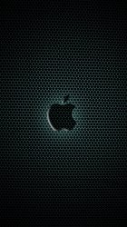 Apple Holes 04.jpg