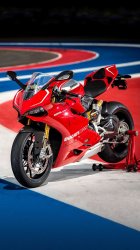 Ducati 08.jpg