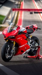 Ducati 09.jpg