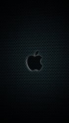 Apple Holes 06.jpg