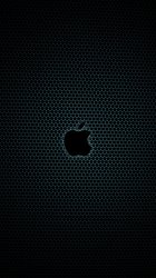 Apple Holes 07.jpg