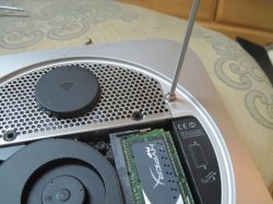 IMG_2813.JPG