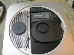 IMG_2694.JPG