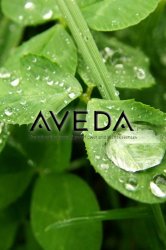 Aveda 01.jpg