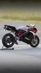 Ducati 06.jpg