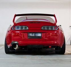 supra back.jpg