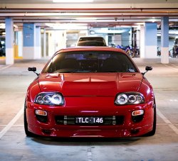 supra front.jpg