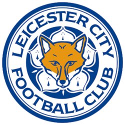 Leicestercity.jpg