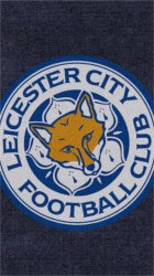 Leicester City 03.jpg