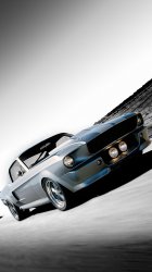 Mustang Eleanor.jpg